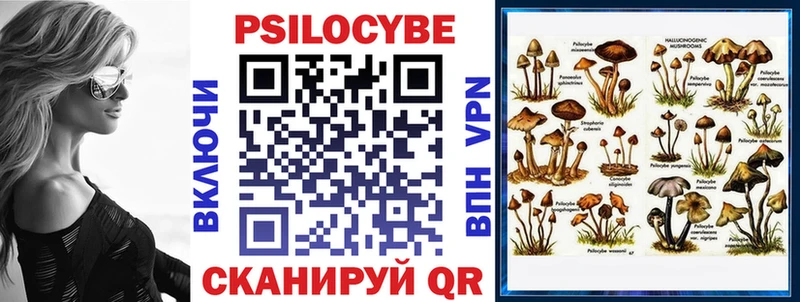 Купить закладки  Кандалакша  Псилоцибиновые грибы прущие грибы 